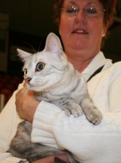 Miss Priss Silver Princess